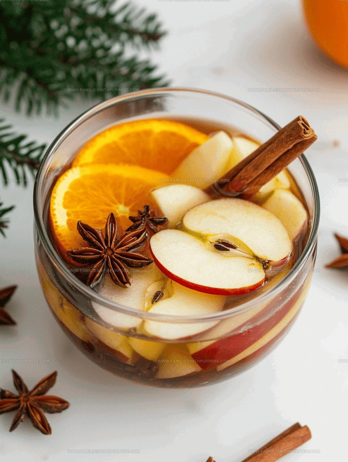 Holiday Simmering Pot Recipe