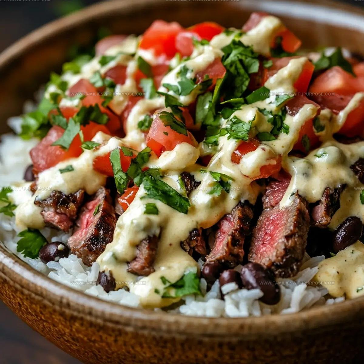 Tex-Mex Steak Queso Rice Recipe