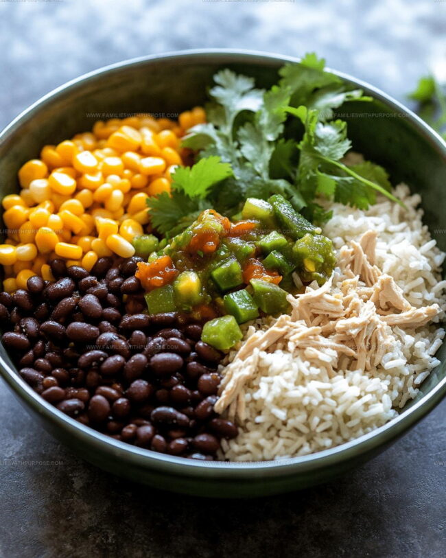 What Are Salsa Verde Chicken Rice Skillet Variations